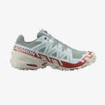 Salomon Men's Speedcross 6 Trail Running Shoes Lily Pad/Rainy Day/Bleached Aqua