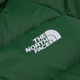The North Face Men's Hydrenalite Down Hoodie Pine Needle