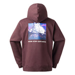 The North Face Unisex Photoprint Hoodie Coal Brown