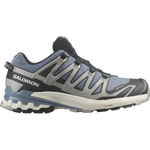 Salomon Men's XA Pro 3D V9 GTX Trail Running Shoes Flint Stone/Black/Ghost Gray