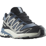 Salomon Men's XA Pro 3D V9 GTX Trail Running Shoes Flint Stone/Black/Ghost Gray