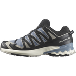 Salomon Men's XA Pro 3D V9 GTX Trail Running Shoes Flint Stone/Black/Ghost Gray