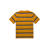 The North Face Men's Stripe Short Sleeve T-Shirt Citrine Yellow